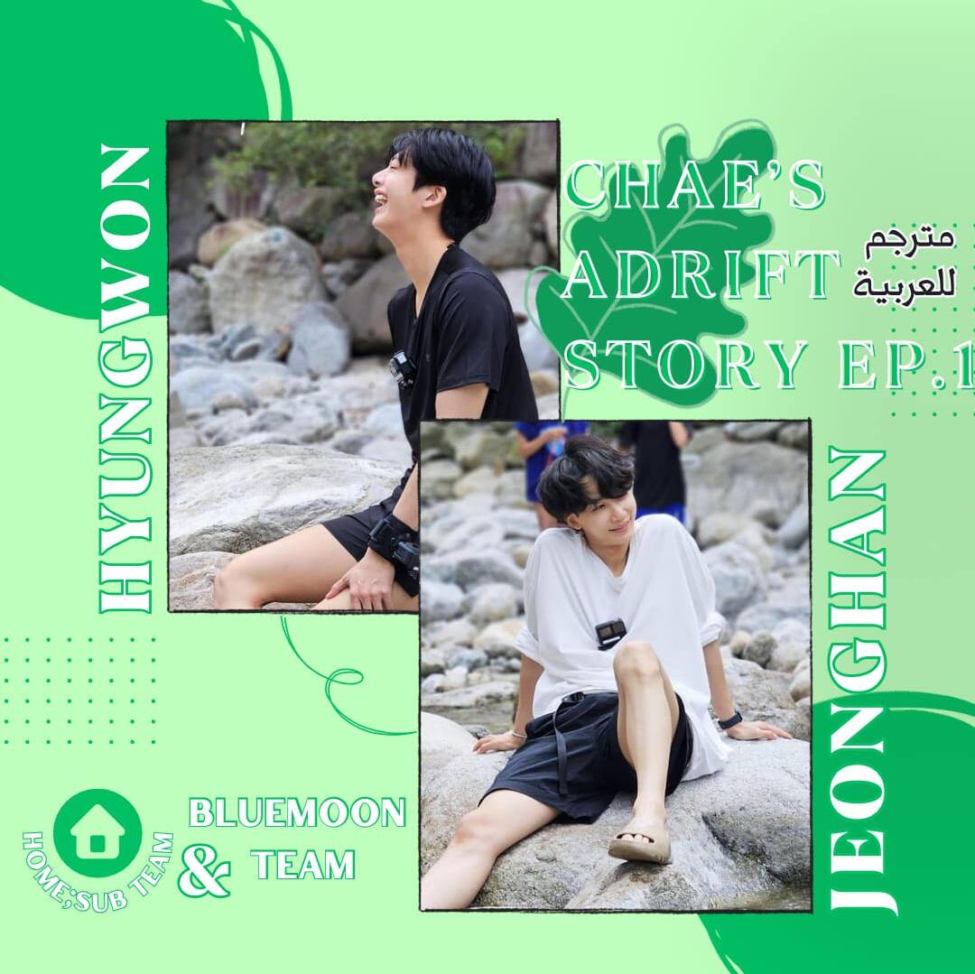 Mr. Chae the Castaway